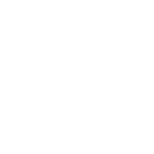 WhatsApp Icon